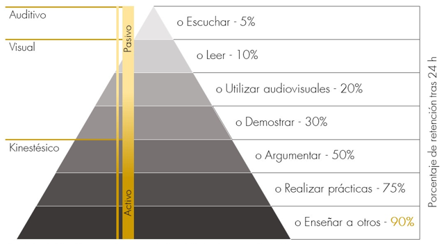 Pirámide porcentaje de retención tras 24h