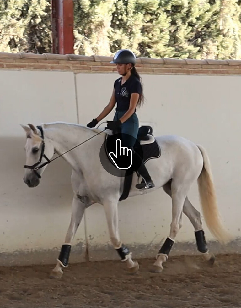 Chica montando a caballo bitless