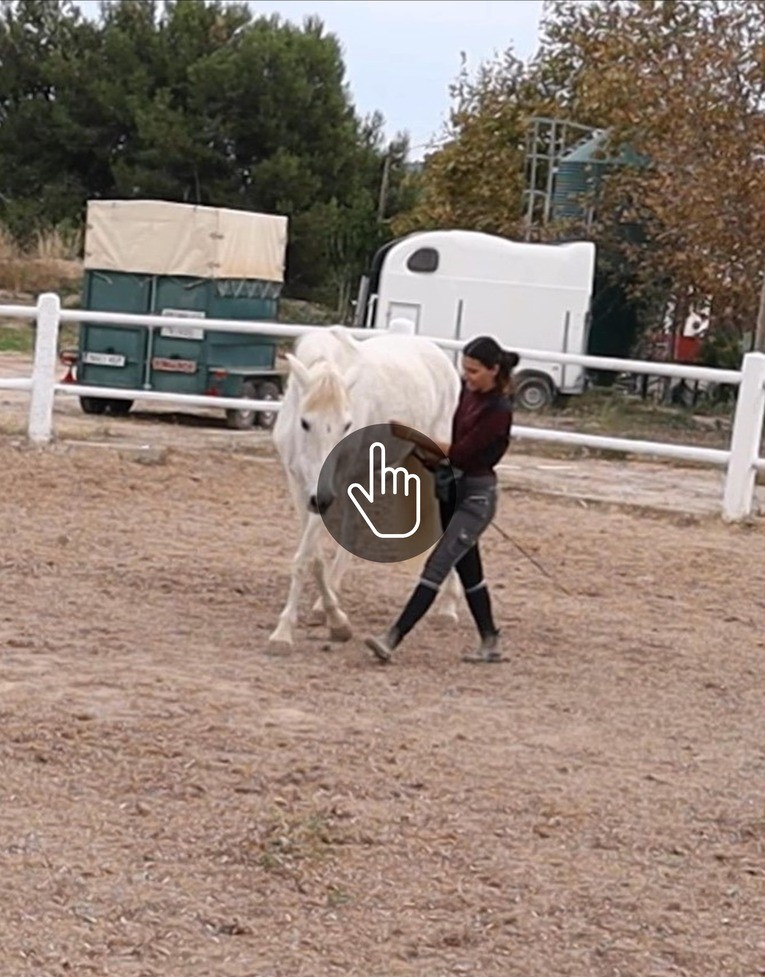 Chica y caballo trabajando la cesión a la pierna en libertad