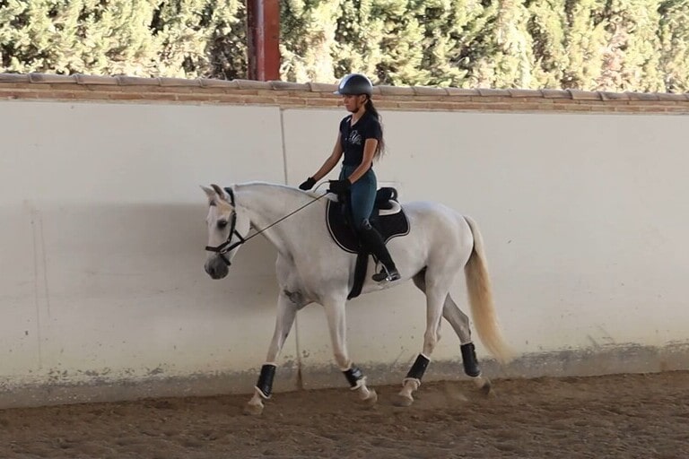 Chica montando a caballo bitless