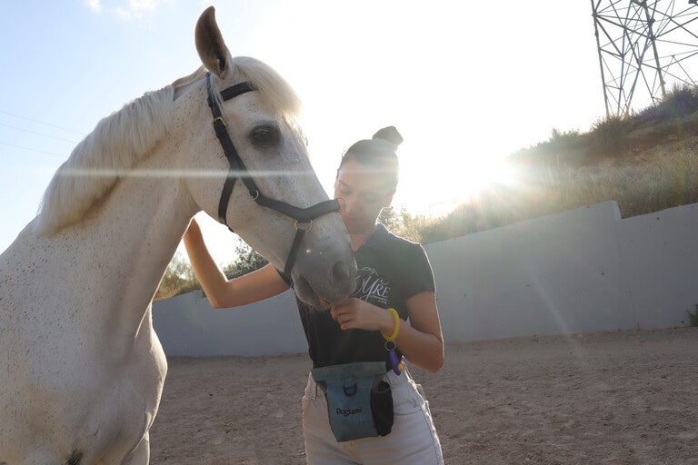 Chica y caballo entrenando con clicker training