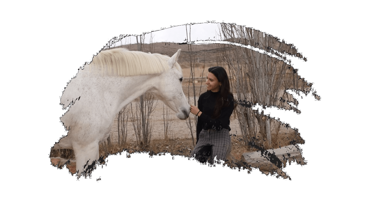 Chica acariciando caballo